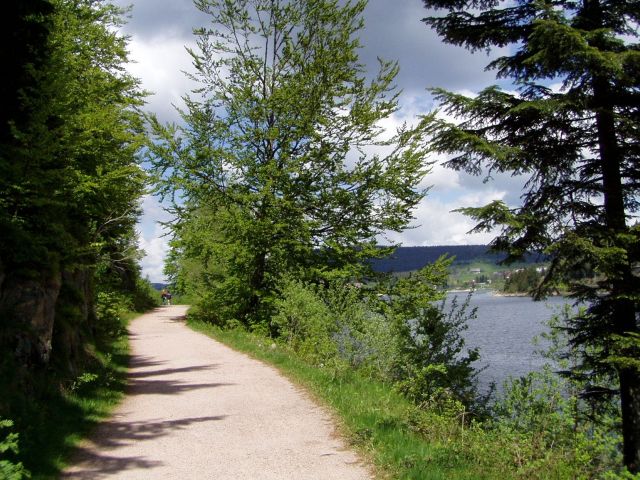 P5230015