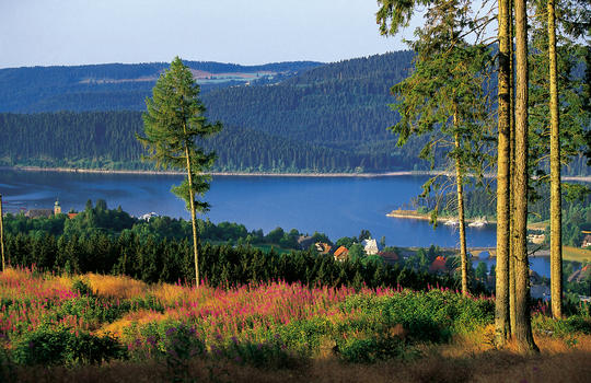 schluchsee1_large